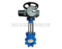 電動(dòng)梅花型刀閘閥PZ973H